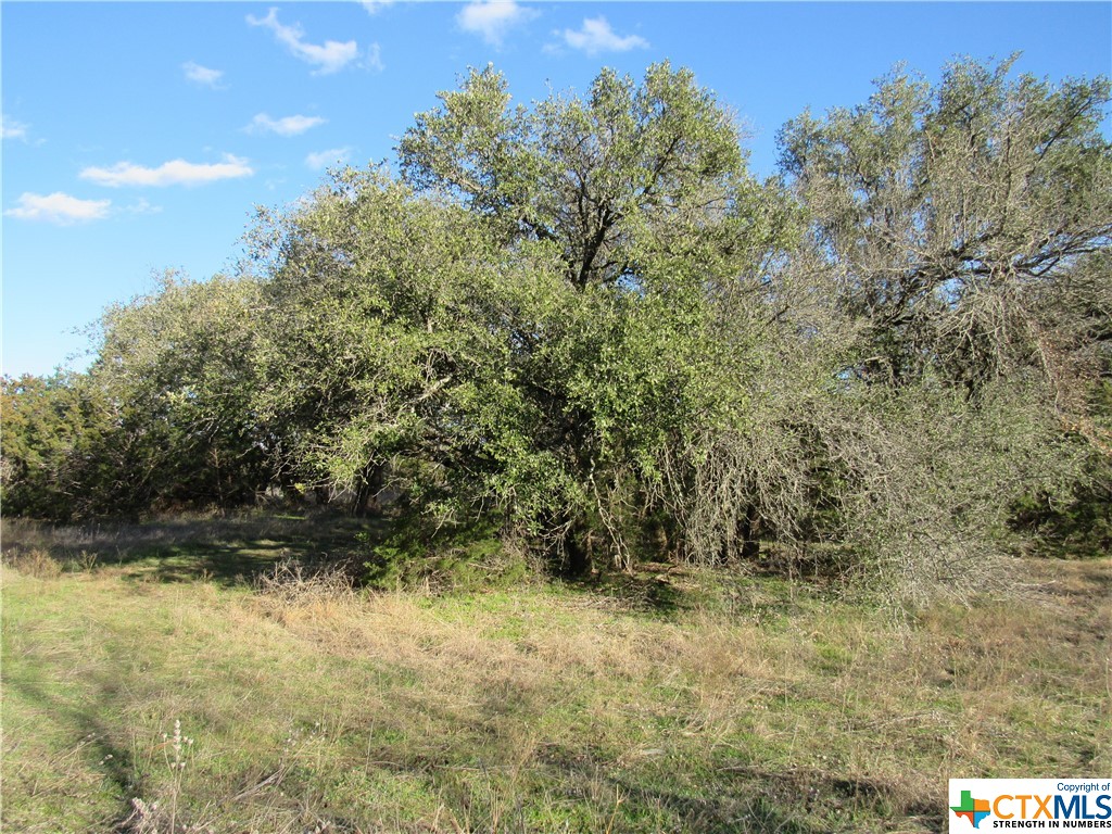 Lot 2, Block 6 Cr 421 Property Photo 2