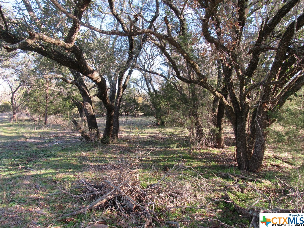 Lot 2, Block 6 Cr 421 Property Photo 3