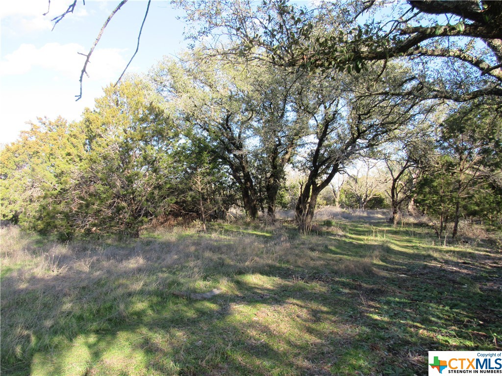 Lot 2, Block 6 Cr 421 Property Photo 4