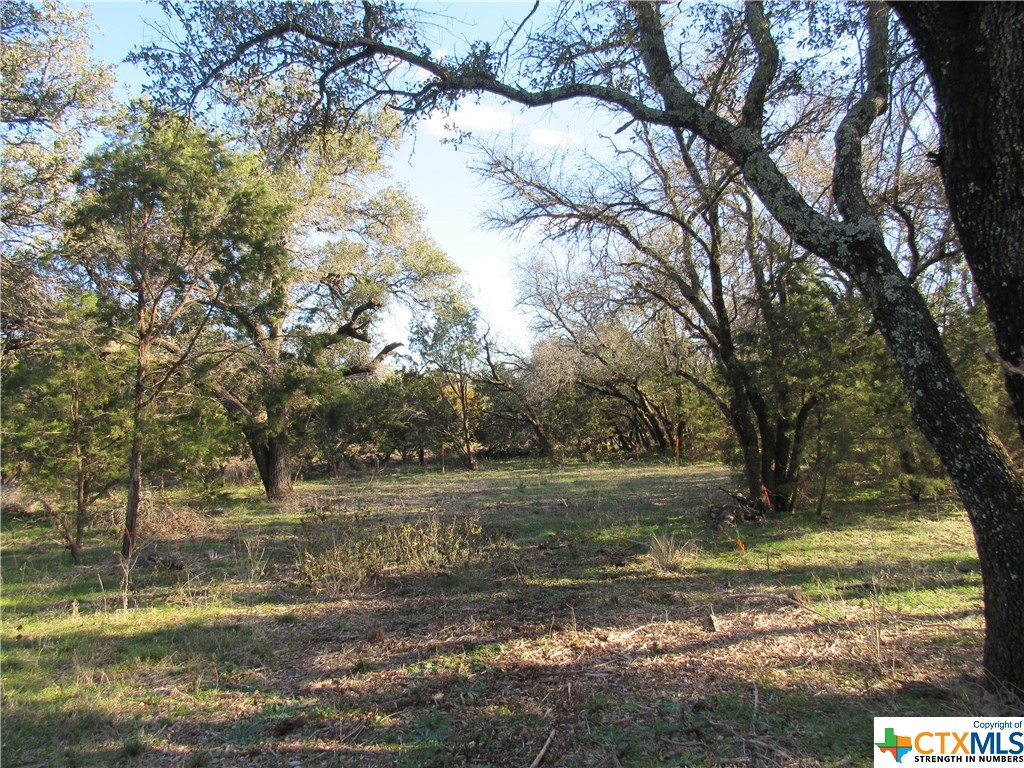 Lot 2, Block 6 Cr 421 Property Photo 5