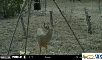 Lot 2, Block 6 Cr 421 Property Photo 6
