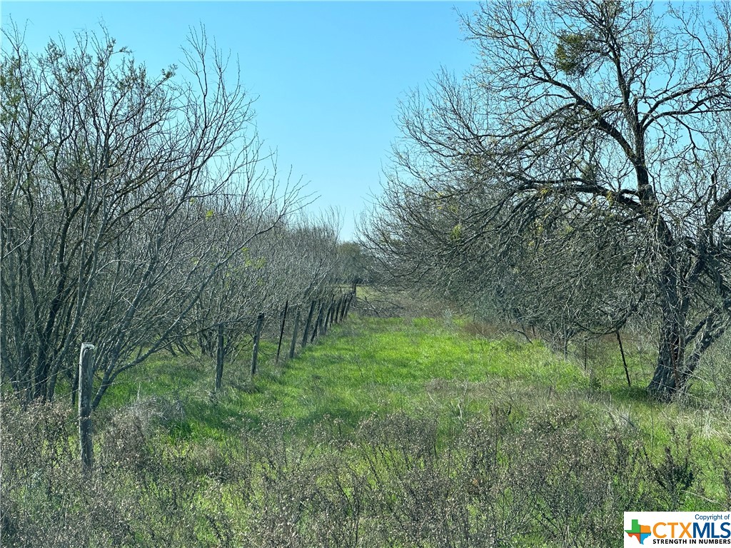 13428 Fm 1346 Road Property Photo