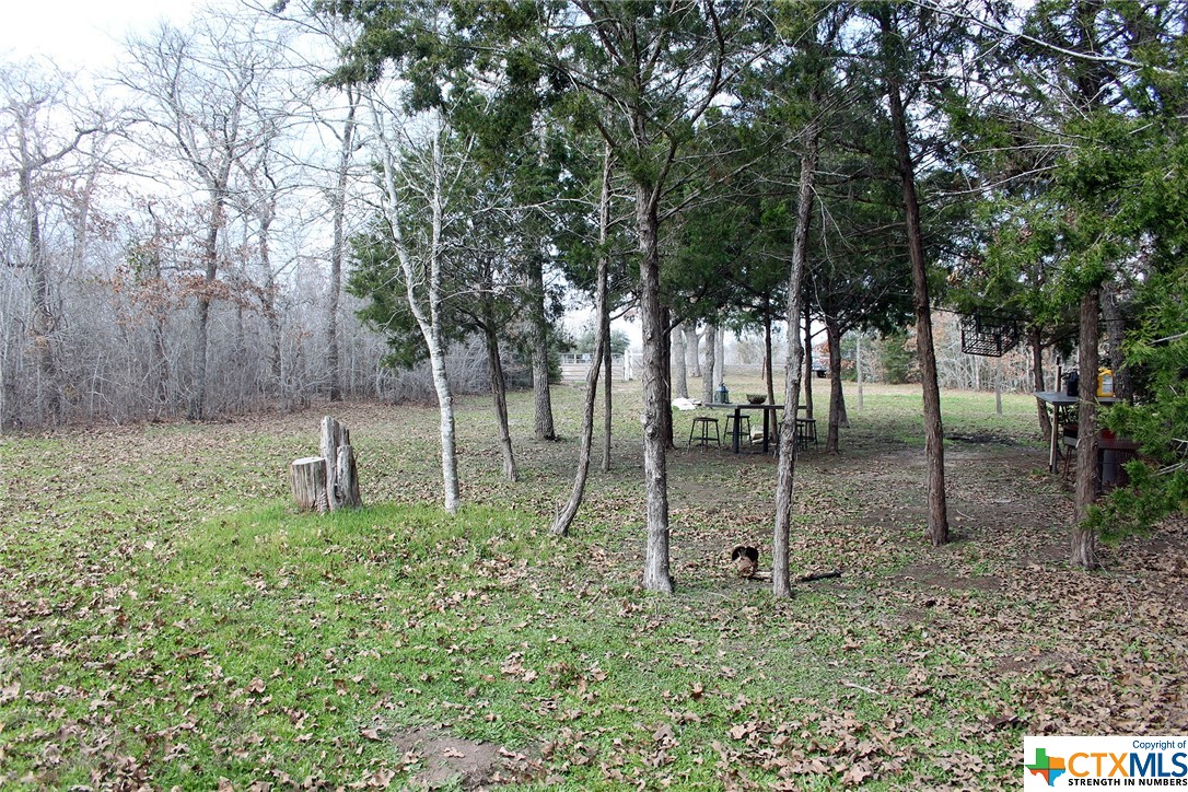 8729 E Fm 20 Property Photo 3