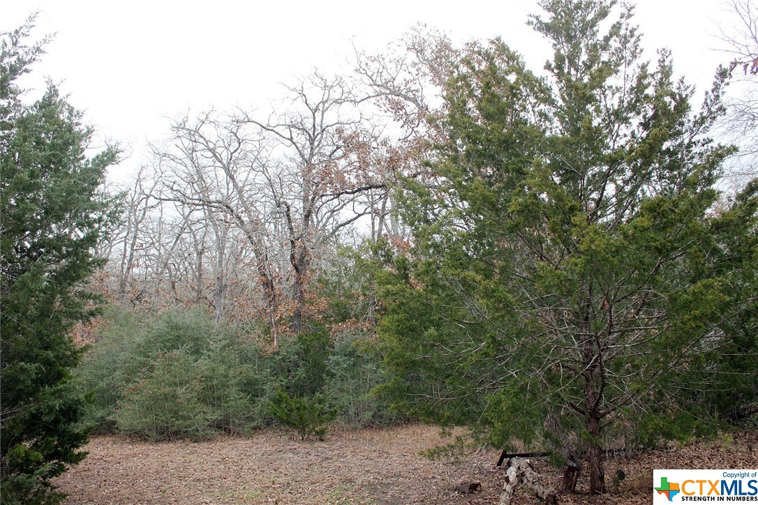 8729 E Fm 20 Property Photo 5
