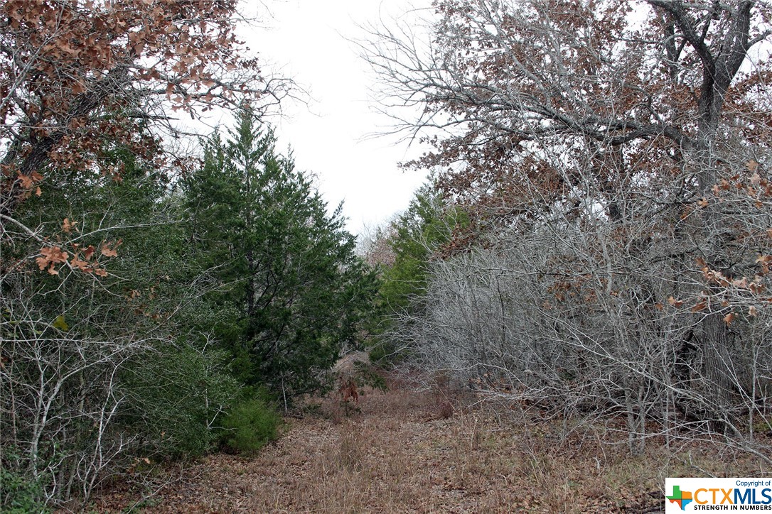 8729 E Fm 20 Property Photo 9
