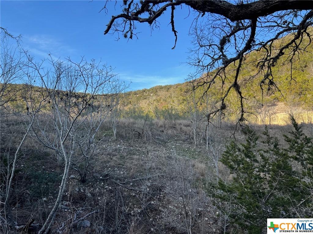 696 Chili Canyon Road Property Photo 13