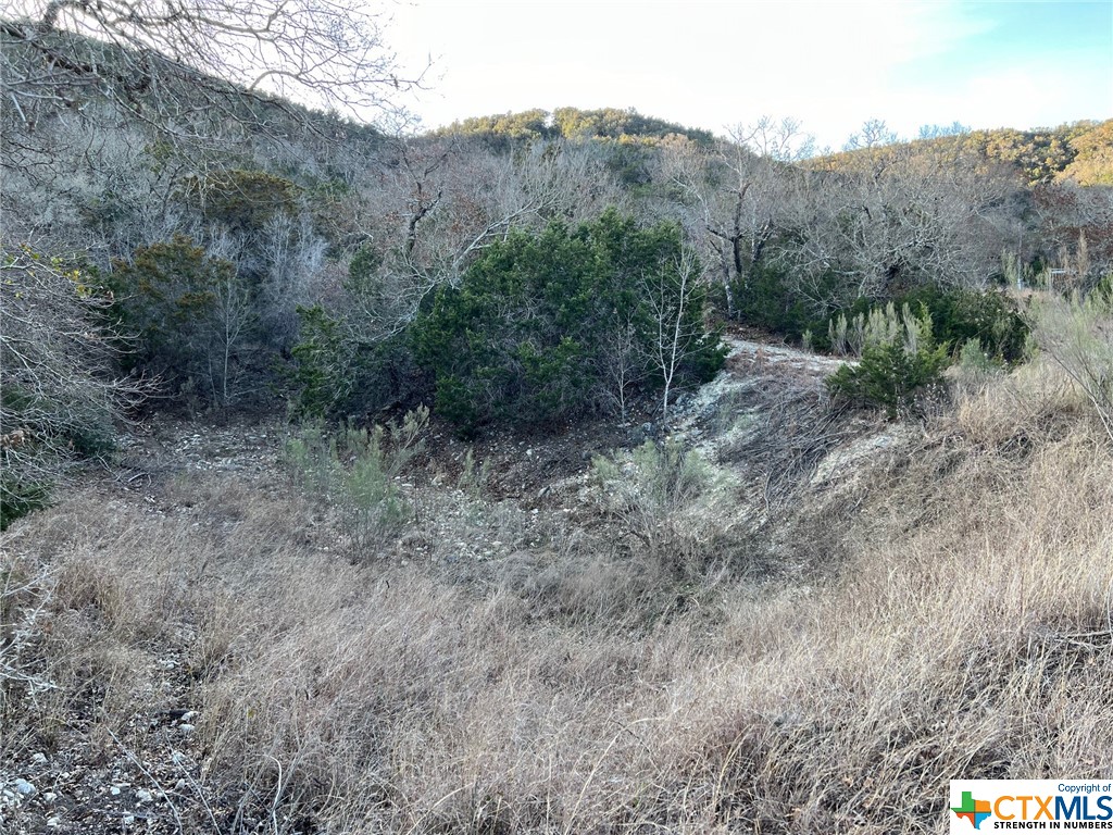 696 Chili Canyon Road Property Photo 15