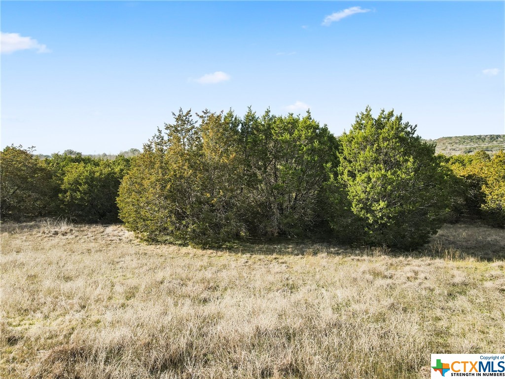 S Hwy 281 Property Photo 13