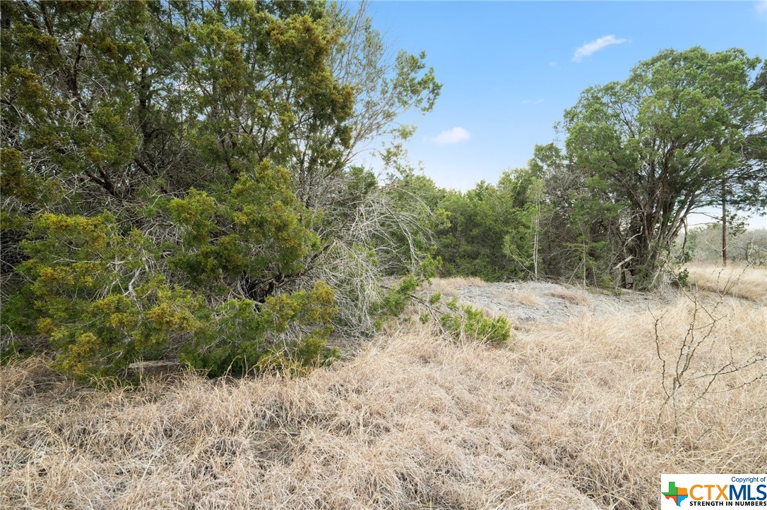 S Hwy 281 Property Photo 15