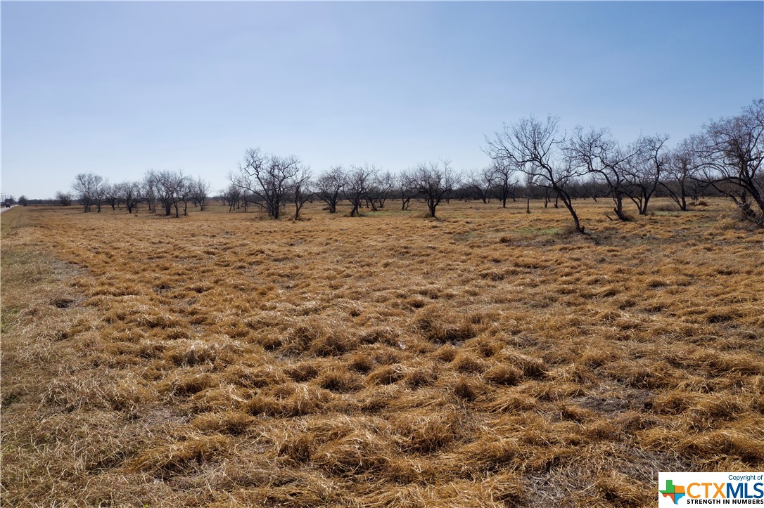 Tbd Mccampbell - Tract E Property Photo 1