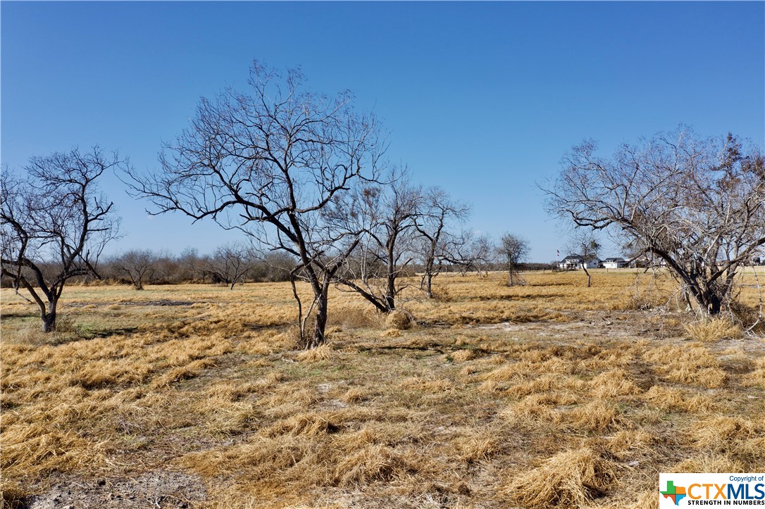 Tbd Fannin - Tract C Property Photo 1