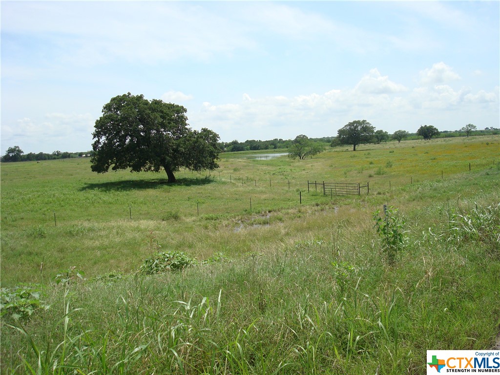 2626 Tschoepe Tschoepe Road Property Photo 4