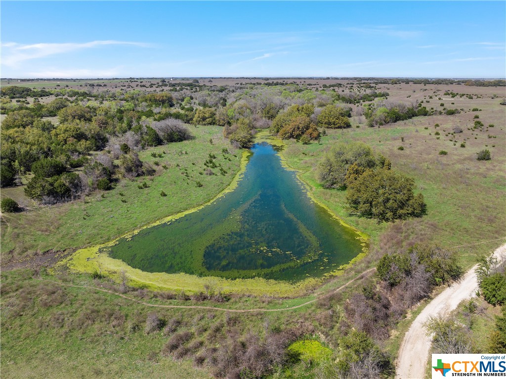 Tbd Tract 2 126.39 Acres Dan Morgan Road Property Photo 5