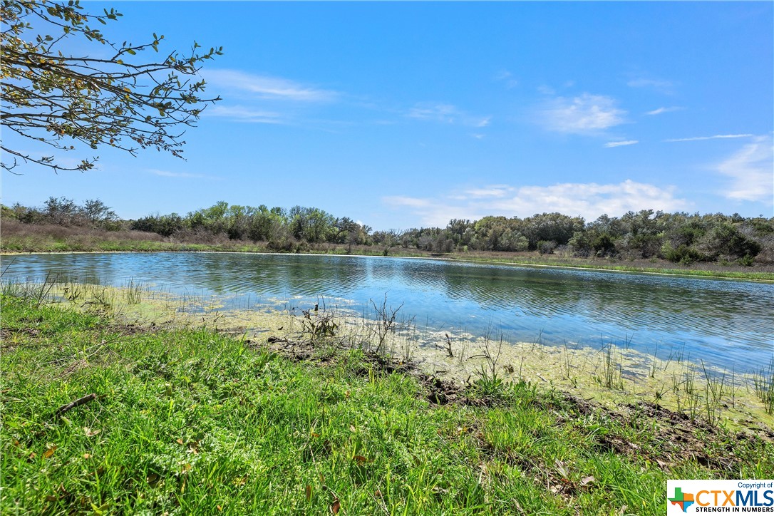 Tbd Tract 2 126.39 Acres Dan Morgan Road Property Photo 6