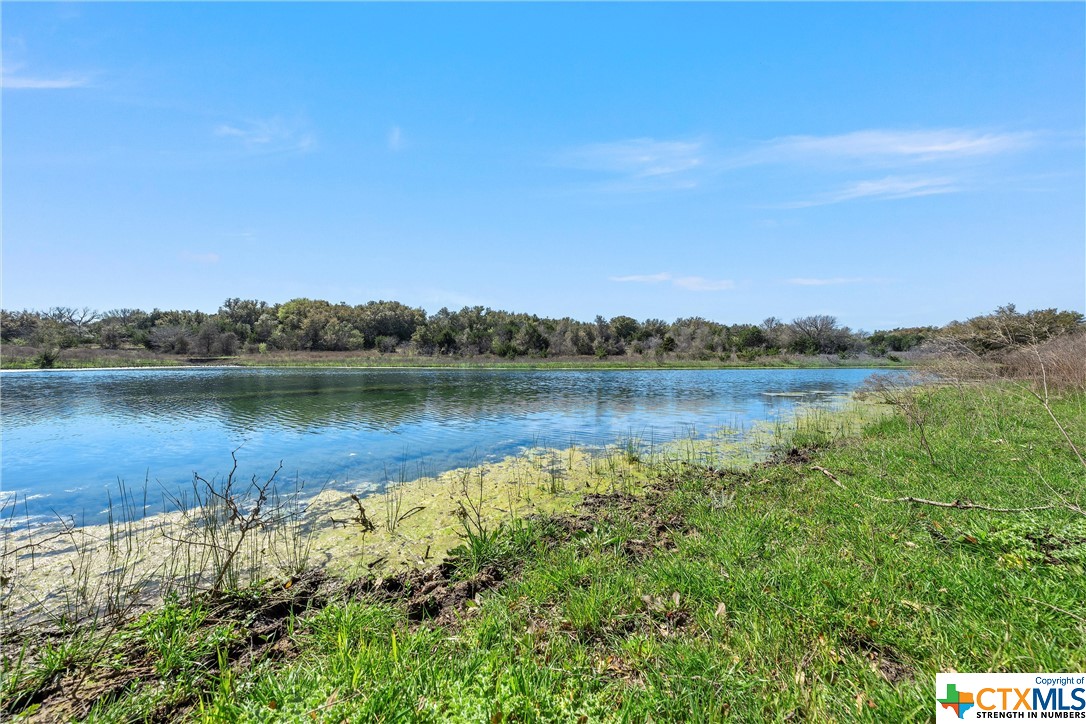 Tbd Tract 2 126.39 Acres Dan Morgan Road Property Photo 7
