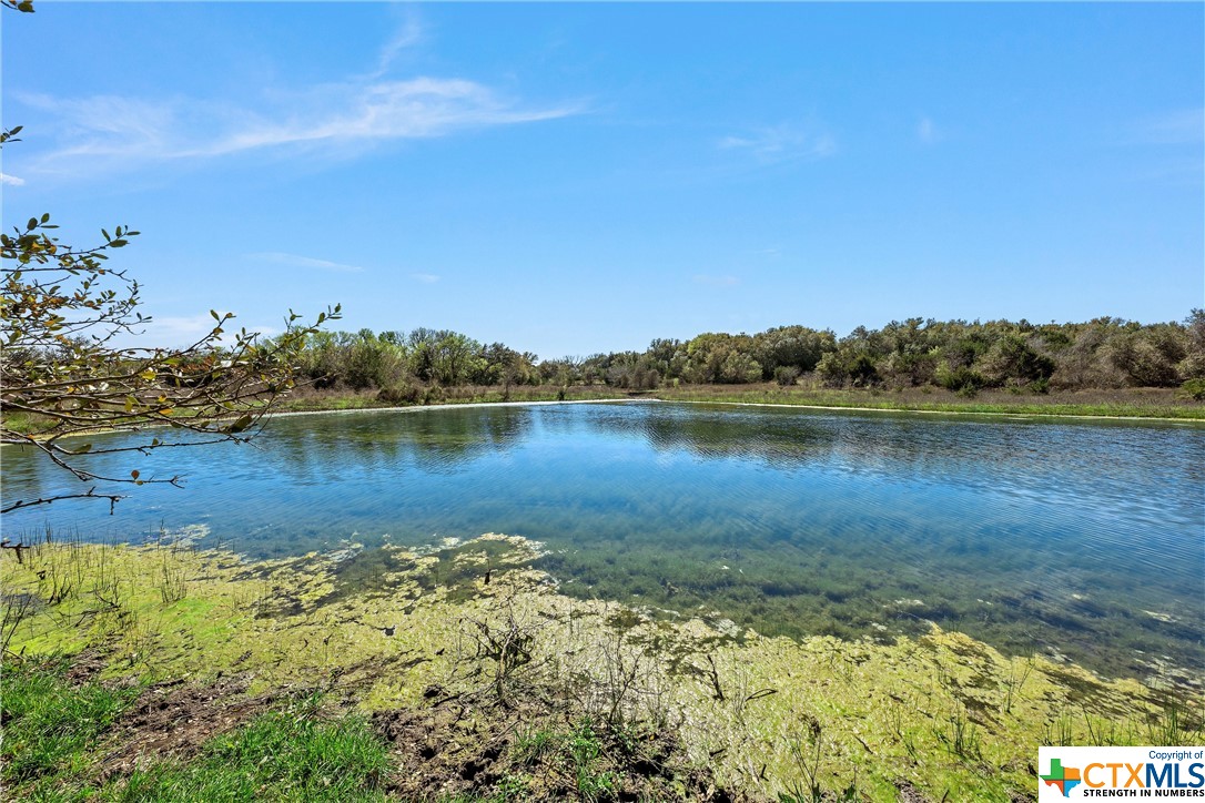 Tbd Tract 2 126.39 Acres Dan Morgan Road Property Photo 8