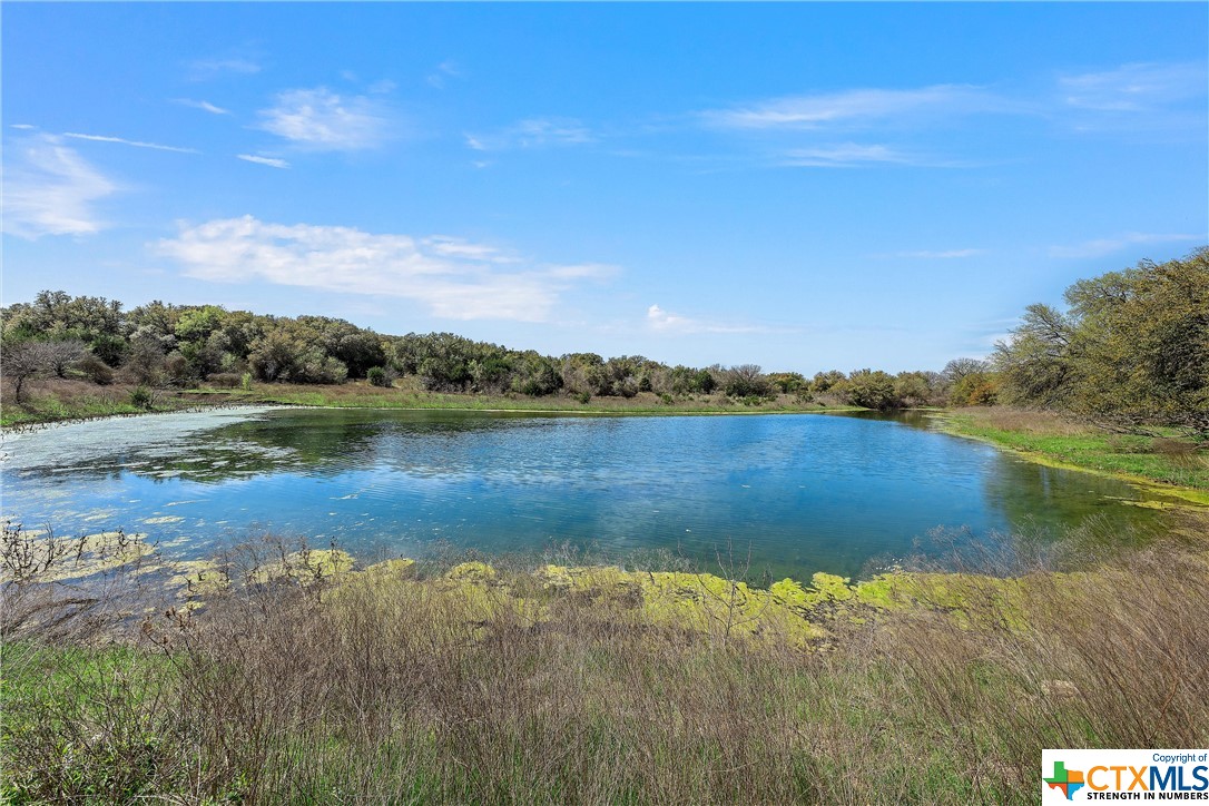 Tbd Tract 2 126.39 Acres Dan Morgan Road Property Photo 9