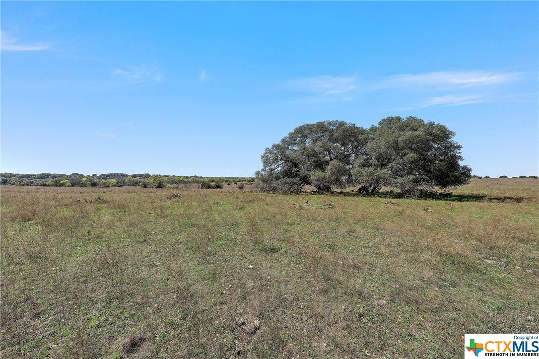 Tbd Tract 2 126.39 Acres Dan Morgan Road Property Photo 19