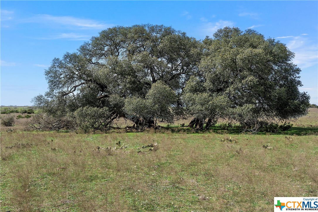 Tbd Tract 2 126.39 Acres Dan Morgan Road Property Photo 20