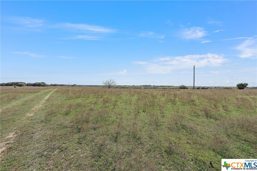 Tbd Tract 2 126.39 Acres Dan Morgan Road Property Photo 21