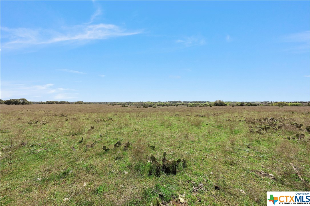 Tbd Tract 2 126.39 Acres Dan Morgan Road Property Photo 23