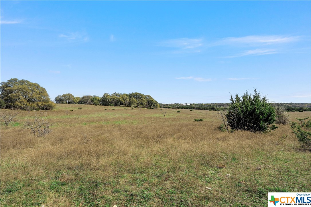 Tbd Tract 2 126.39 Acres Dan Morgan Road Property Photo 24