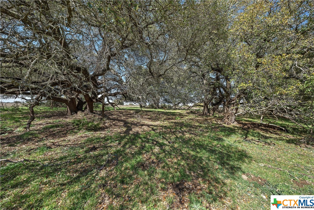 Tbd Tract 2 126.39 Acres Dan Morgan Road Property Photo 25