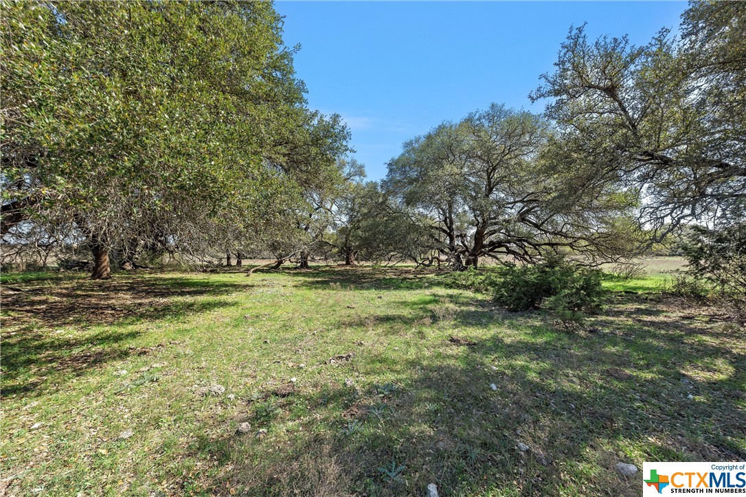 Tbd Tract 2 126.39 Acres Dan Morgan Road Property Photo 26