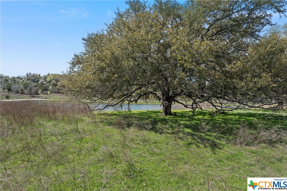 Tbd Tract 2 126.39 Acres Dan Morgan Road Property Photo 27