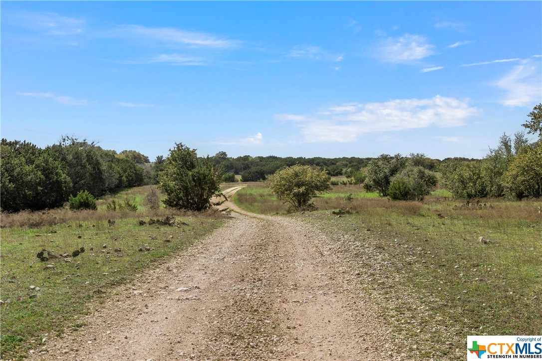 Tbd Tract 2 126.39 Acres Dan Morgan Road Property Photo 28