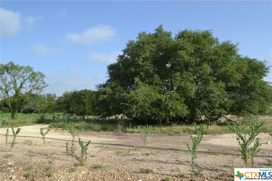Block 2, Lot 1 And Lot 2 Cr 3152 Property Photo 1