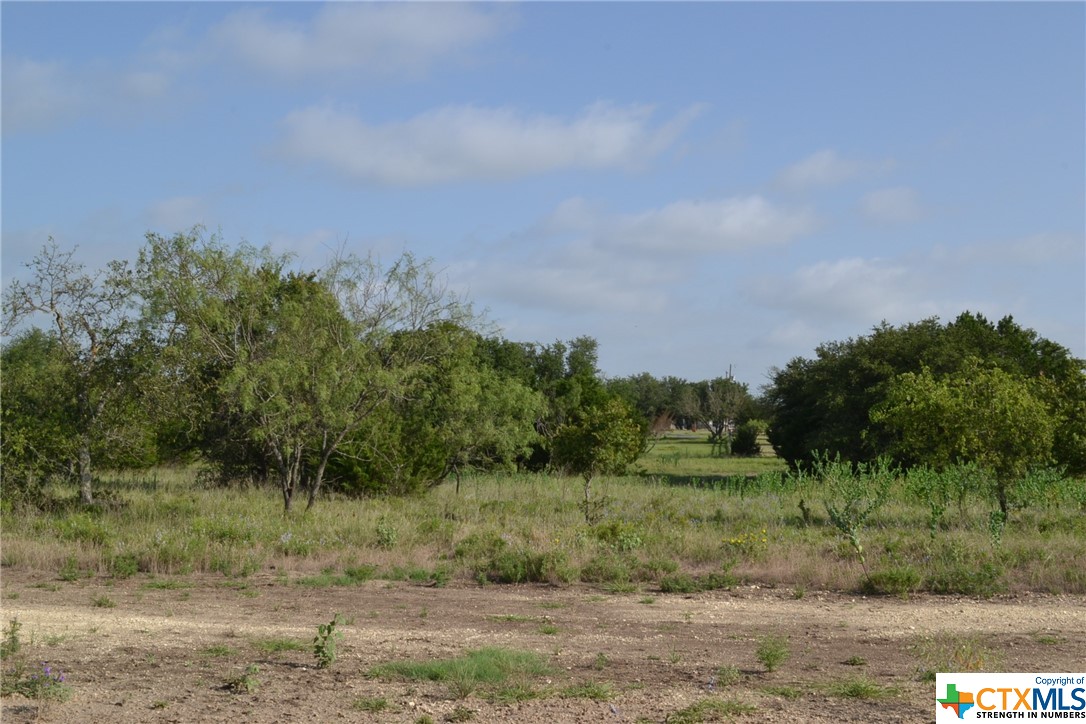 Block 2, Lot 1 And Lot 2 Cr 3152 Property Photo 2