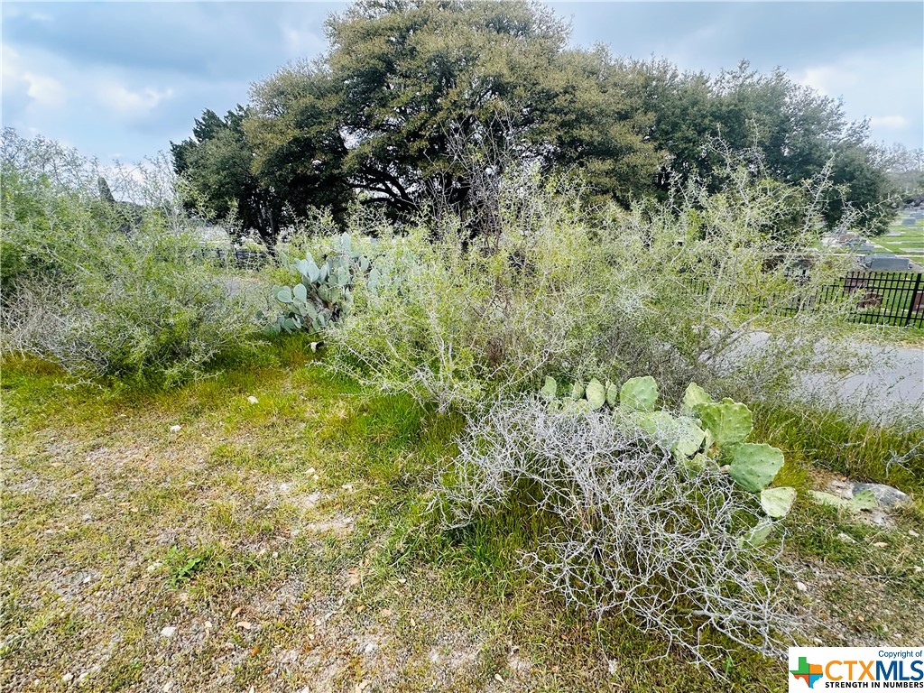 460 Peace Avenue Property Photo 1