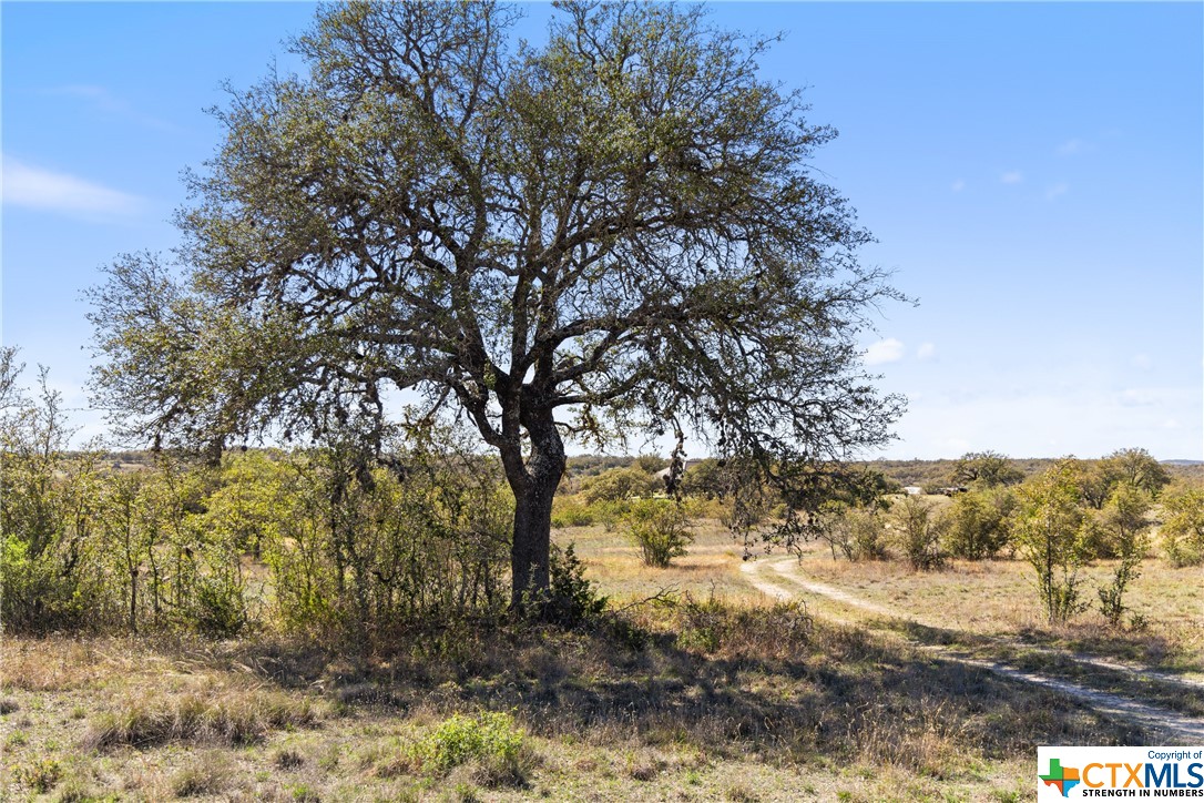 716 Summit Ridge Trail Property Photo 3