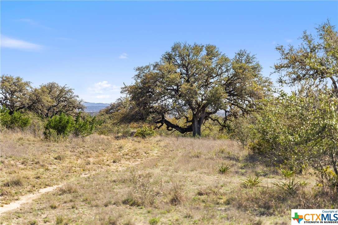 716 Summit Ridge Trail Property Photo 8