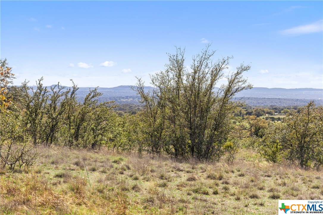 716 Summit Ridge Trail Property Photo 9
