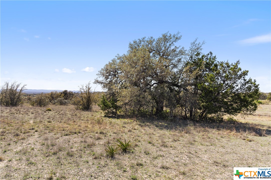 716 Summit Ridge Trail Property Photo 11