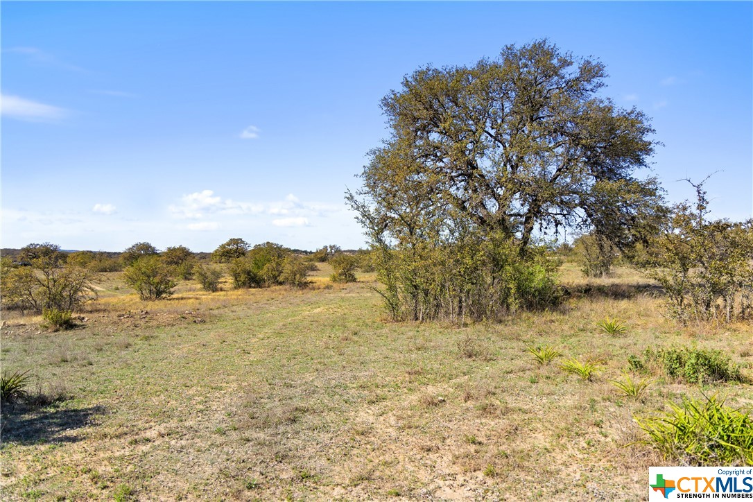 716 Summit Ridge Trail Property Photo 13