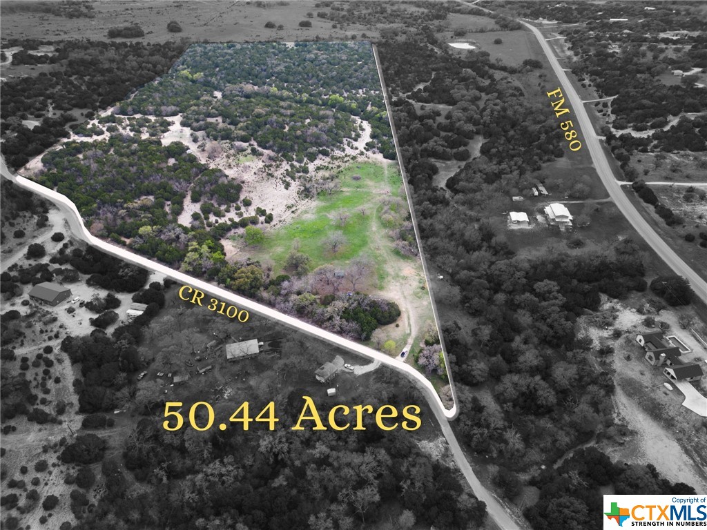 50.44 Acres County Road 3100 Property Photo 1