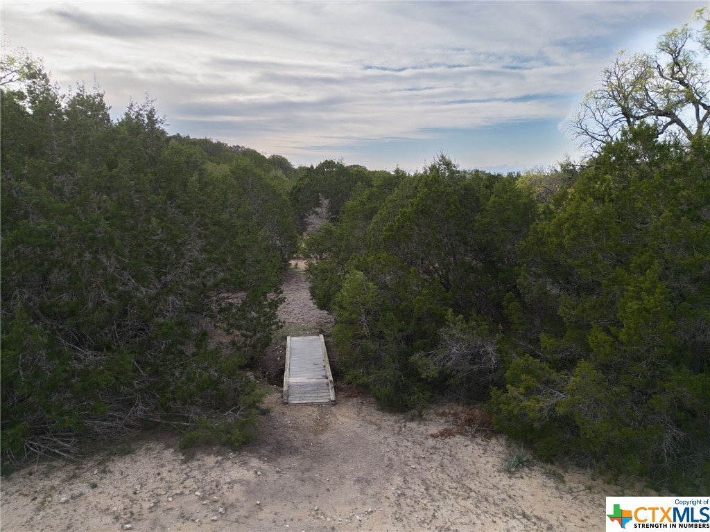 50.44 Acres County Road 3100 Property Photo 3