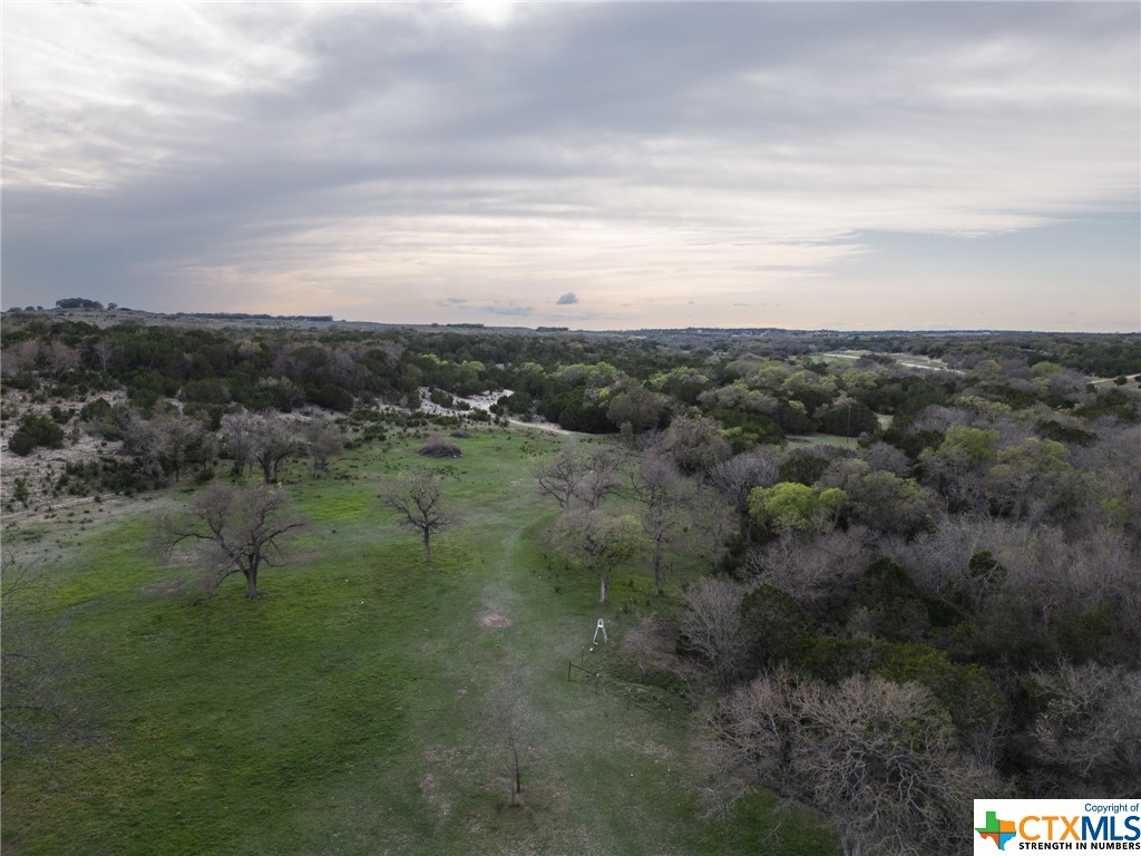 50.44 Acres County Road 3100 Property Photo 4