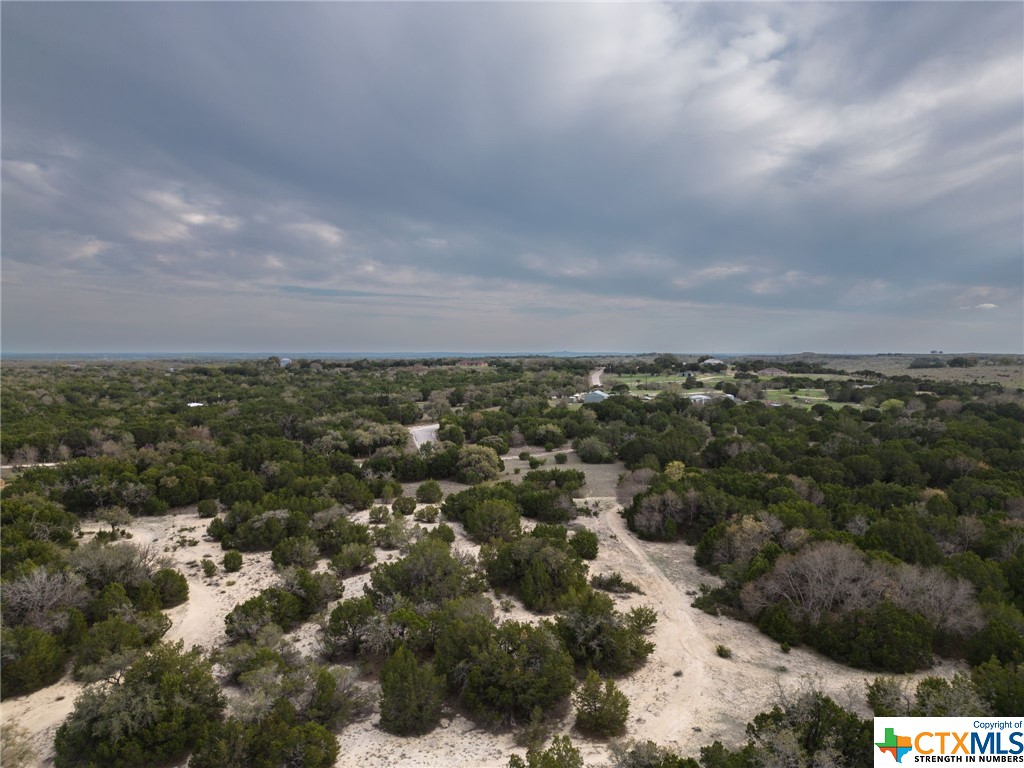 50.44 Acres County Road 3100 Property Photo 5