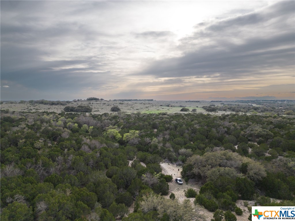 50.44 Acres County Road 3100 Property Photo 6