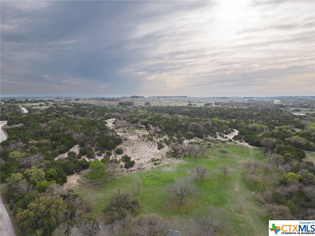 50.44 Acres County Road 3100 Property Photo 7