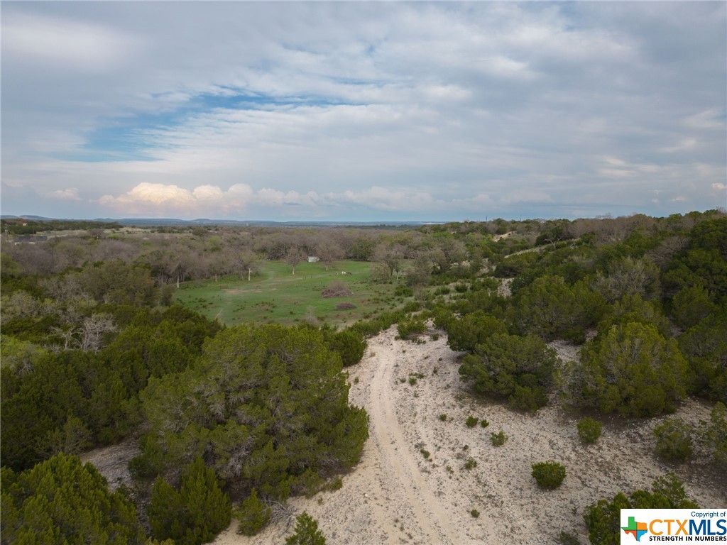 50.44 Acres County Road 3100 Property Photo 10