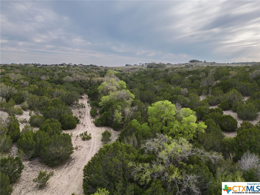 50.44 Acres County Road 3100 Property Photo 11