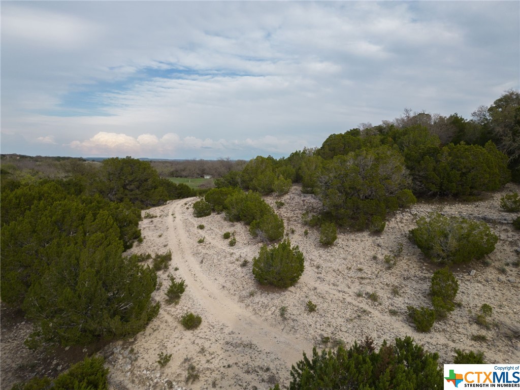 50.44 Acres County Road 3100 Property Photo 12