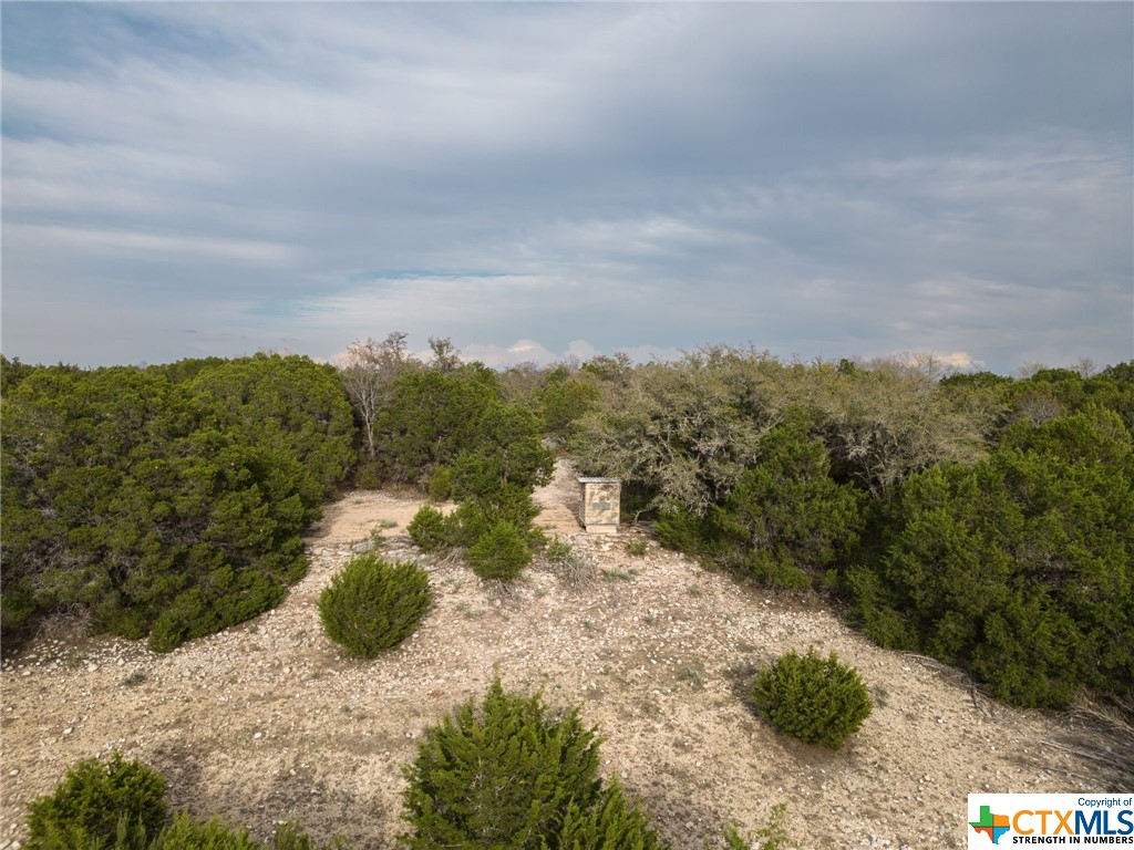 50.44 Acres County Road 3100 Property Photo 17