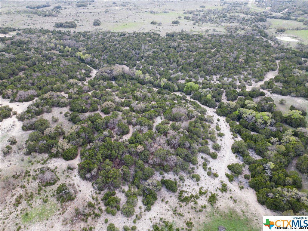 50.44 Acres County Road 3100 Property Photo 18
