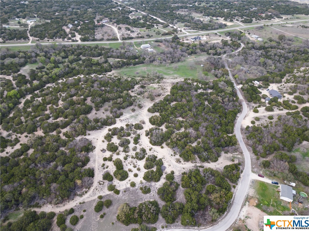 50.44 Acres County Road 3100 Property Photo 19